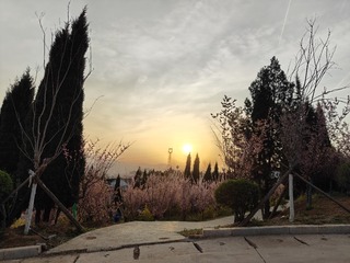 1000003188