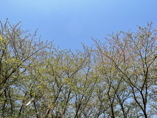 813E5C94-7FFF-40B7-96C6-D6FD691950A3/L0/001