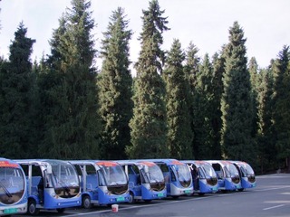 593852