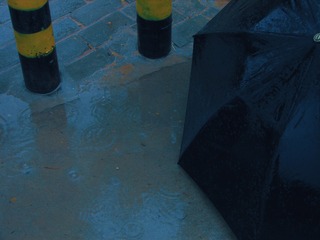 1629800