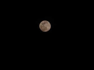 1603250