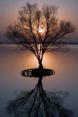 1000798670