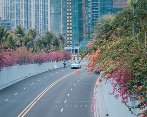 718FC222-173E-4556-A052-C2FFBC78776C/L0/001