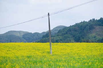 A4C87C0D-6022-40B3-8196-C8706FE617B4/L0/001