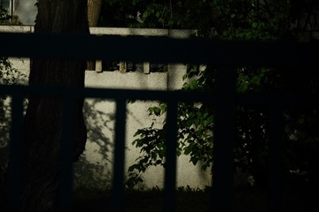 59541D6C-E334-4F2C-AEC4-C9FABDCE84DA/L0/001