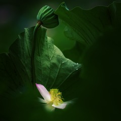 _U9A4555-1 拷贝