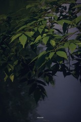 1377308