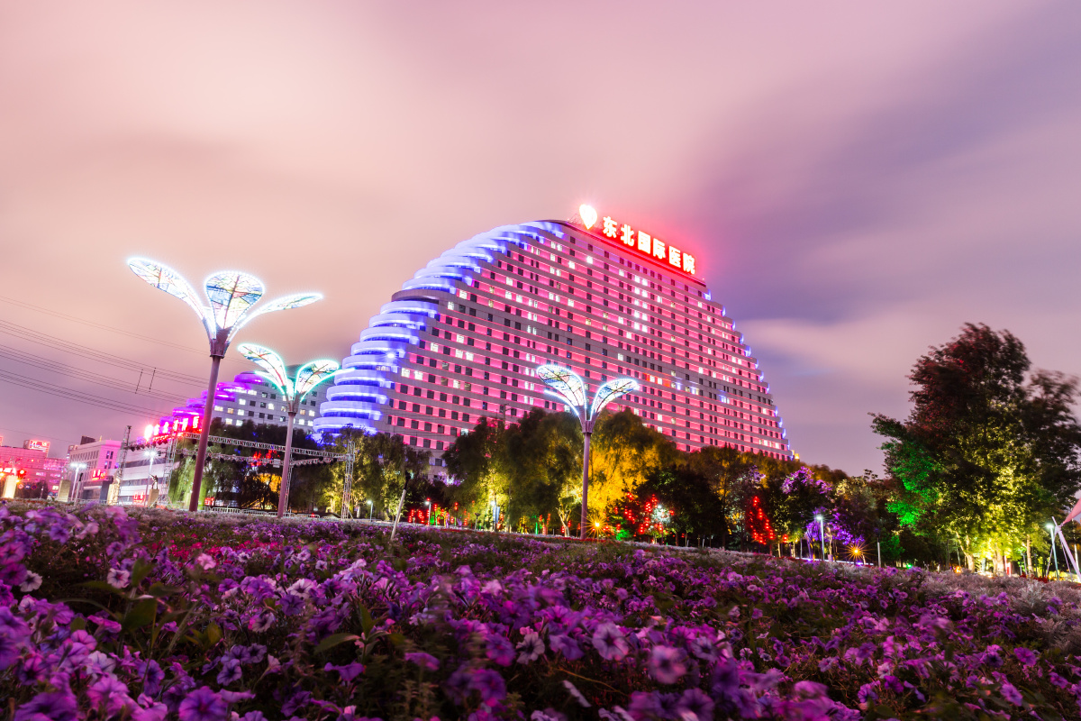 沈阳东北国际医院