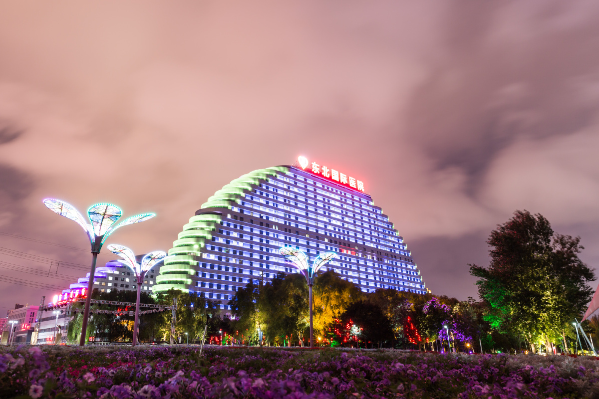 沈阳东北国际医院