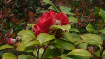 P1080171