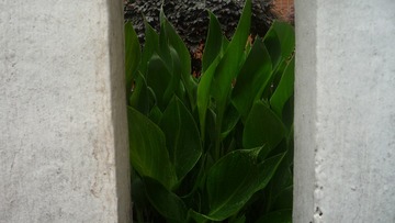 P1060836