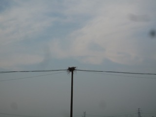 P1060105