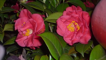 P1080156
