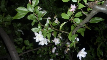 P1080147