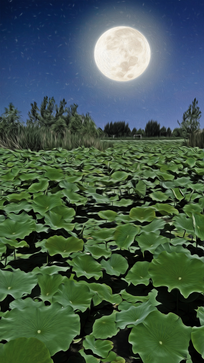 荷塘月色 - 编光织影 - 图虫