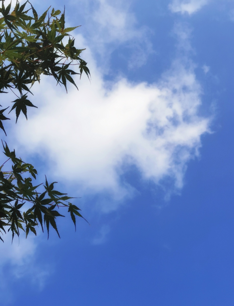 蔚蓝天空渐变的云朵