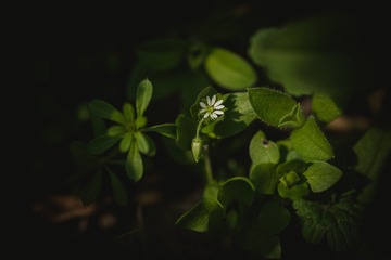 5945899