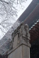 E01B874F-8A02-4CE6-9651-D0C1F37C6297/L0/001