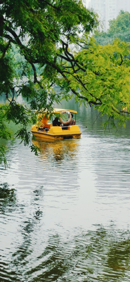 小船儿轻轻飘荡在水中