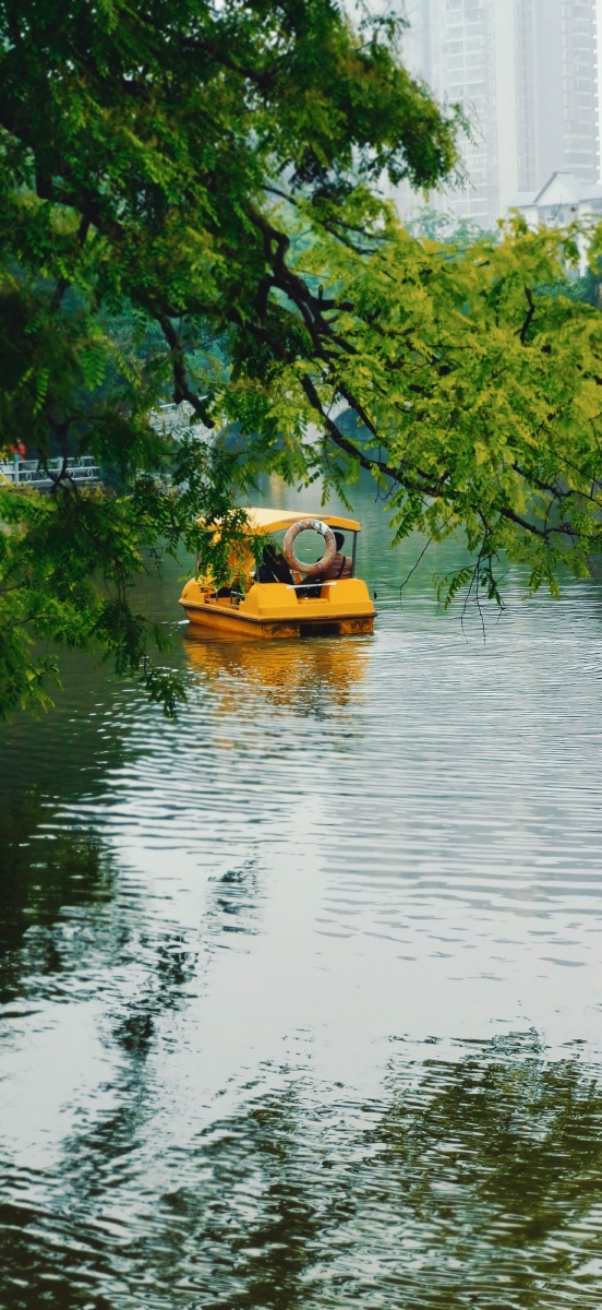 小船儿轻轻飘荡在水中