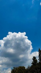 E5AA9D7E-54FA-4EBB-B6AE-224A72D10E2B/L0/001