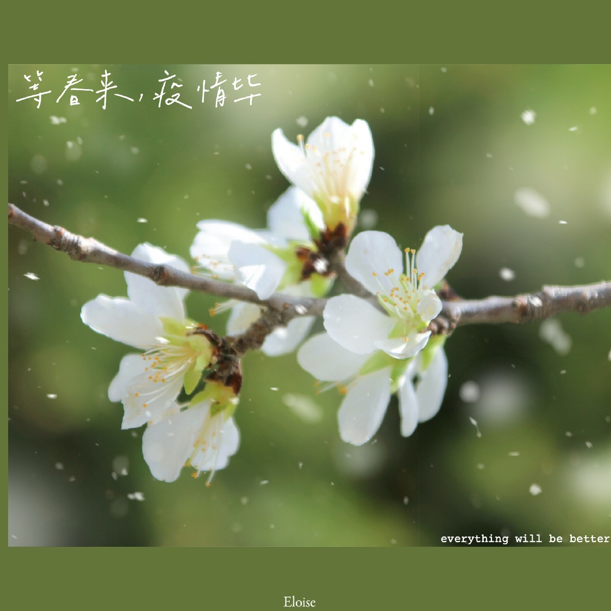 掬一捧山间清水揽一把亭间晚风抓一把莺歌燕语酿一壶醇香春意兰州