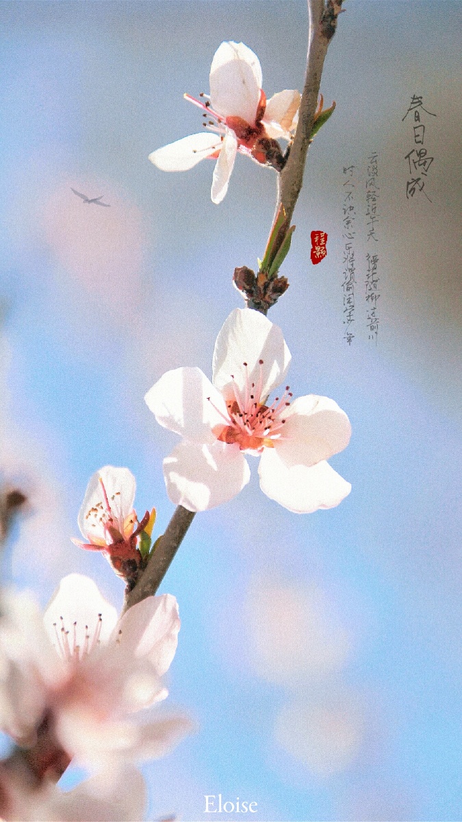 掬一捧山间清水揽一把亭间晚风抓一把莺歌燕语酿一壶醇香春意兰州