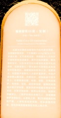 1000035297