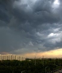 1000026628