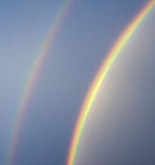 1000026960