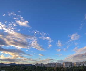1000023104