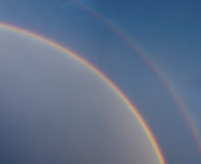 1000026958