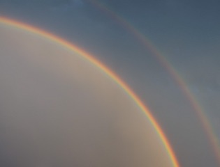 1000026956