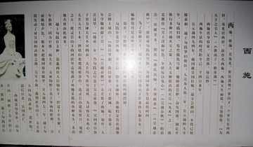 1000027446