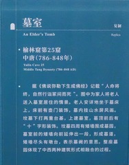 1000036358