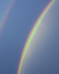 1000026962