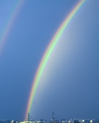 1000021733