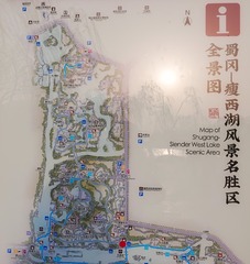 1000036393