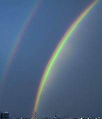 1000021734