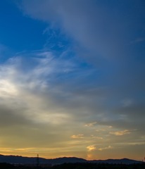 1000026629