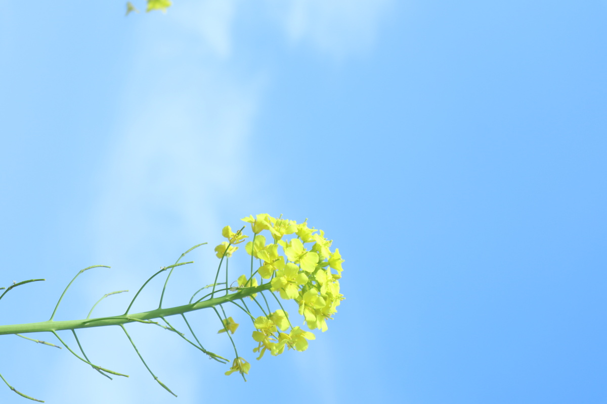 美好的事物等你去发现