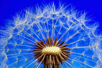 6D1090FC-F10B-4CCD-9DF9-E3405908AA8C/L0/001