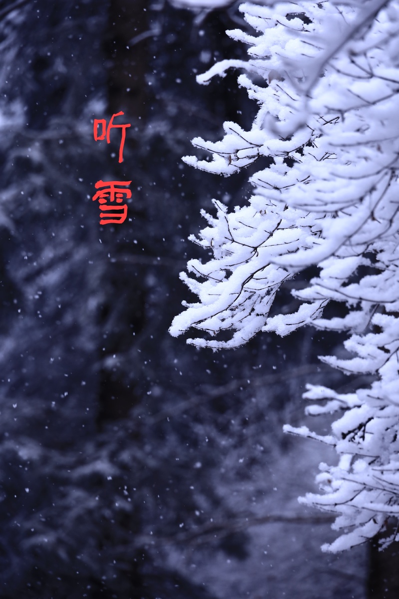 雪落为念 情深似海