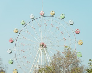 403961