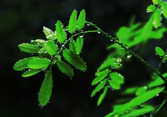 2090625