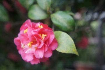 D635737F-0985-45F1-81D9-9CF6C17FF455/L0/001