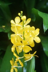635CDA58-E052-4AE9-AC47-E33A78B77FED/L0/001