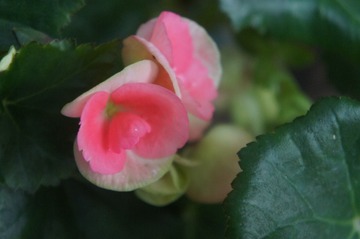 7CB41F35-CCF9-4C28-B252-94446D9830F5/L0/001