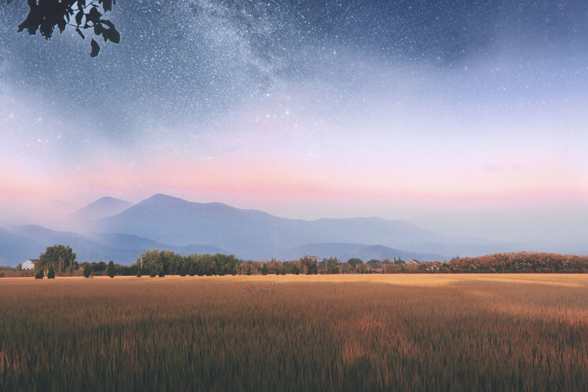 星辰大海需要门票诗和远方更费钞票