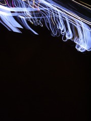 1556718